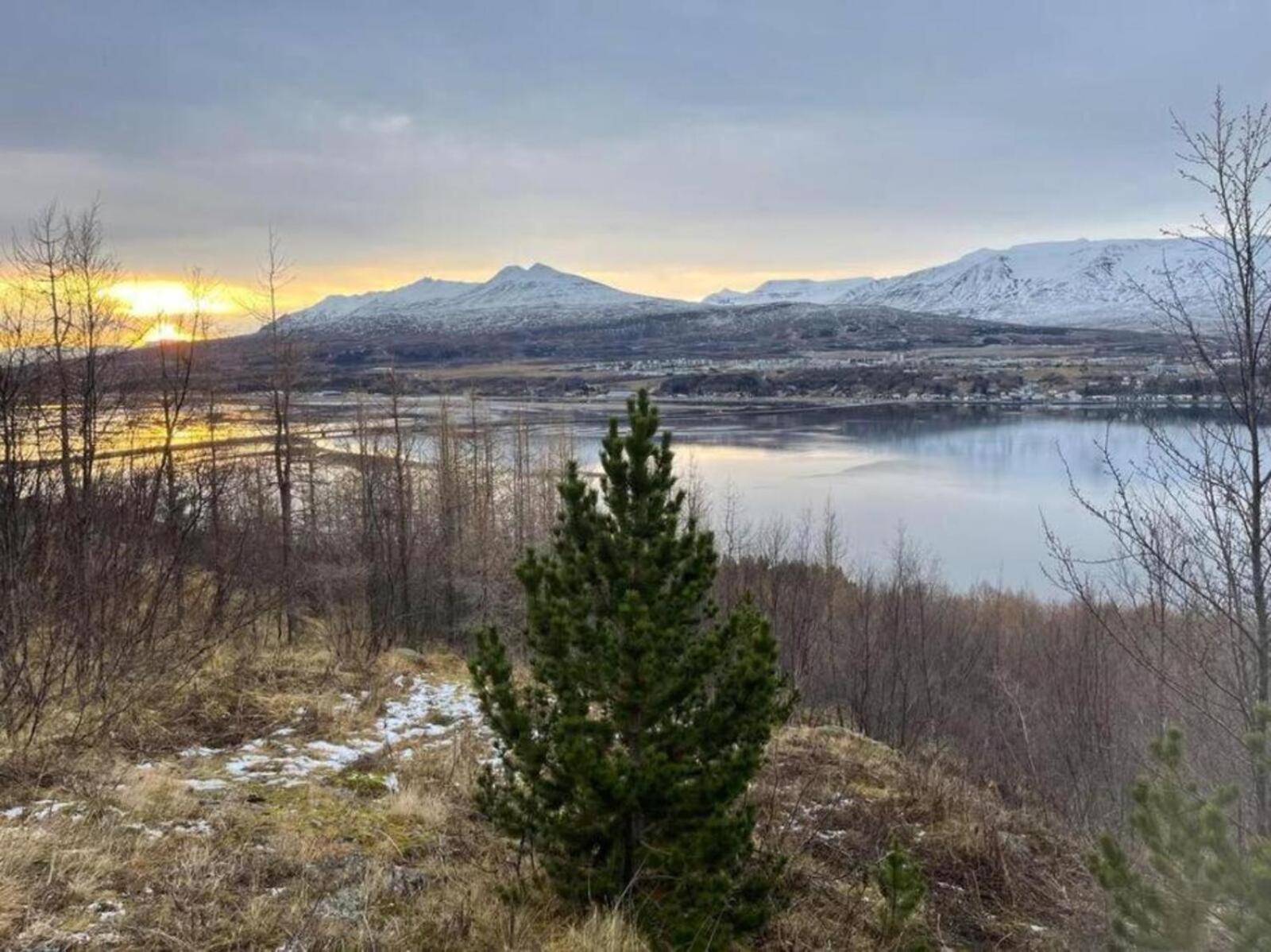 Cozy 2 Bedroom Cottage With Hot Tub Akureyri Exteriér fotografie
